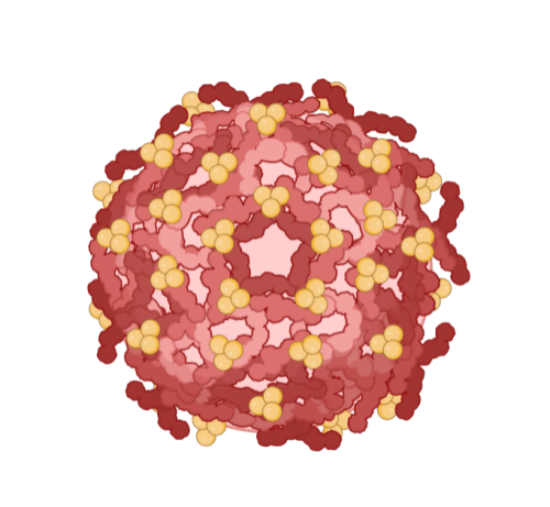 protease inhibitor