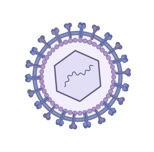 protease inhibitor