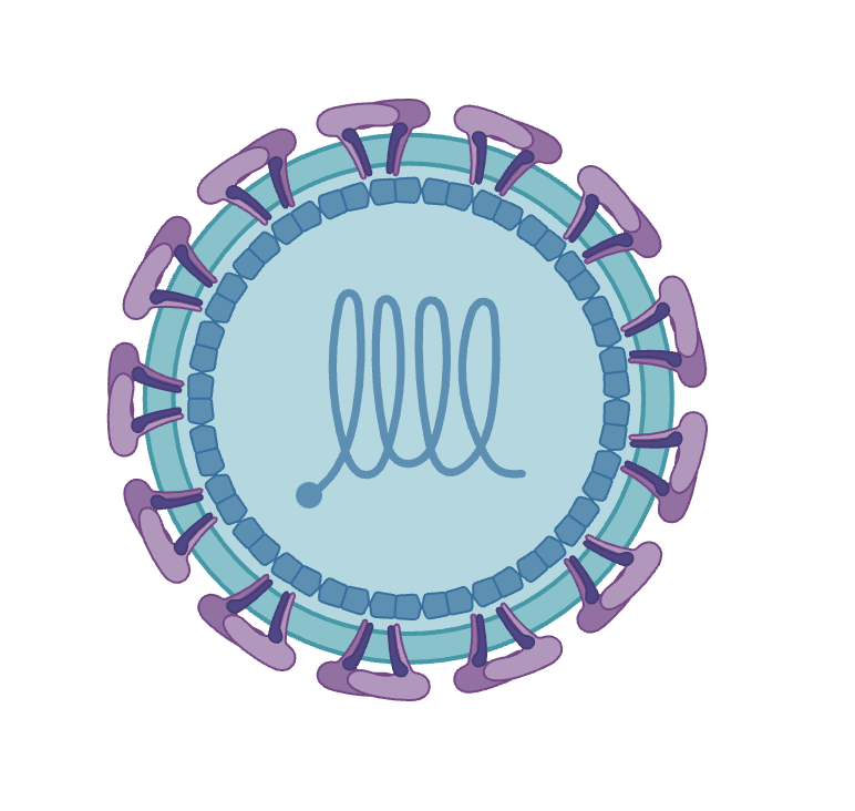 protease inhibitor screening