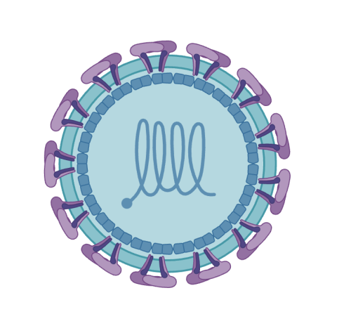 protease inhibitor test